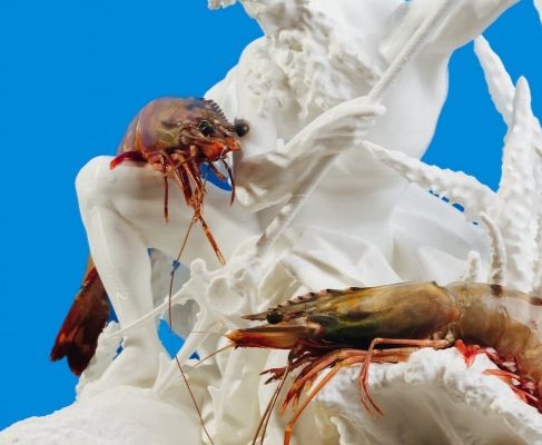 Seafood Dish